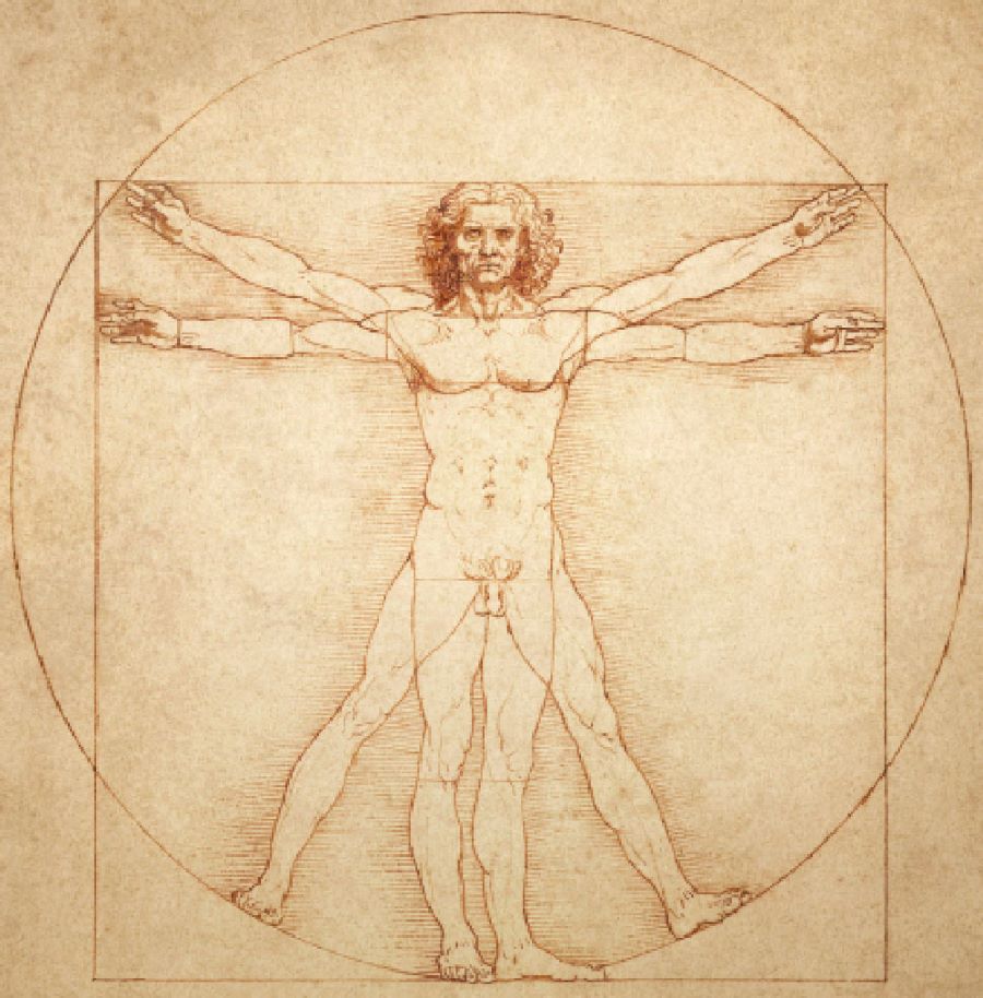 Tác Phẩm The Vitruvian Man của họa sĩ leonardo da vinci