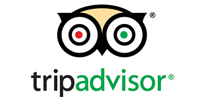 TripAdvisor tác phẩm tranh sơn dầu độc bản