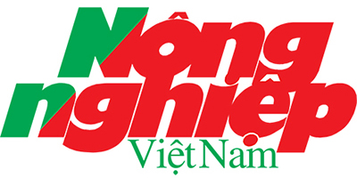 nông nghiệp việt nam tranh nghệ thuật đẹp sơn dầu