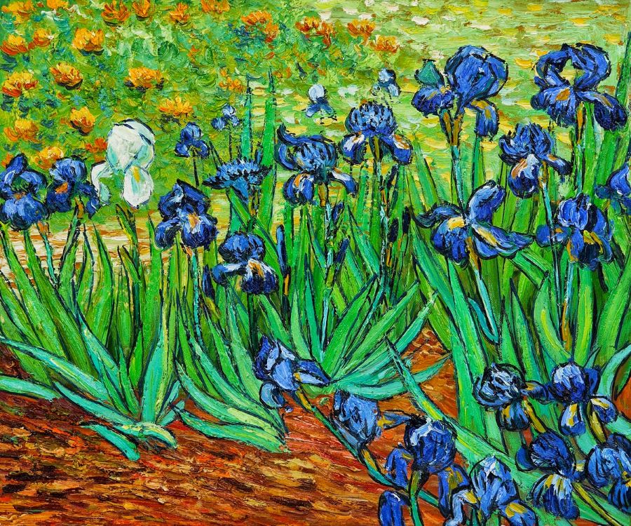 tác phẩm hoa diên vĩ iris của họa sĩ van gốc